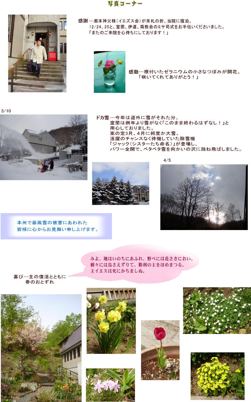 �ʐ^�R�[�i�[