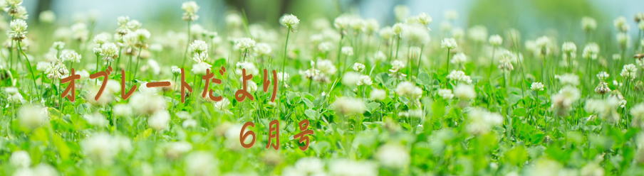 オブレートだより