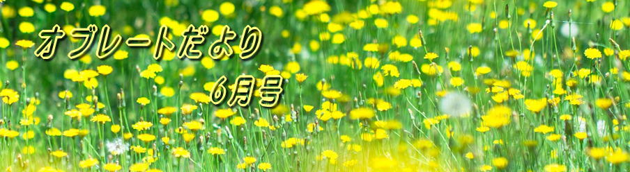 オブレートだより