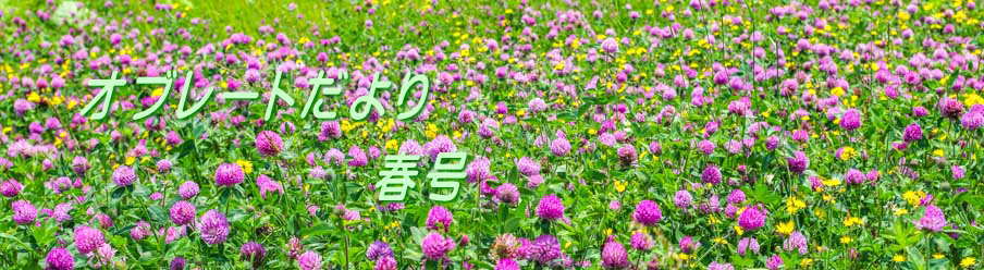 オブレートだより