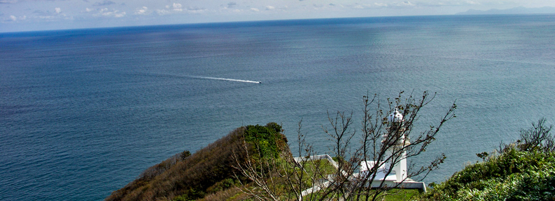 オブレートだより